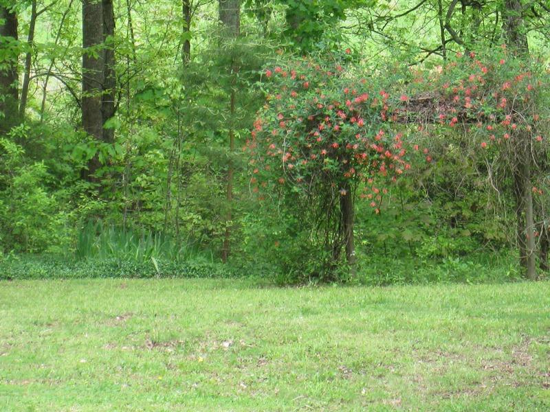 121 Pope Road Benton, TN 37307 - Photo 40 of 41 IMG_8651