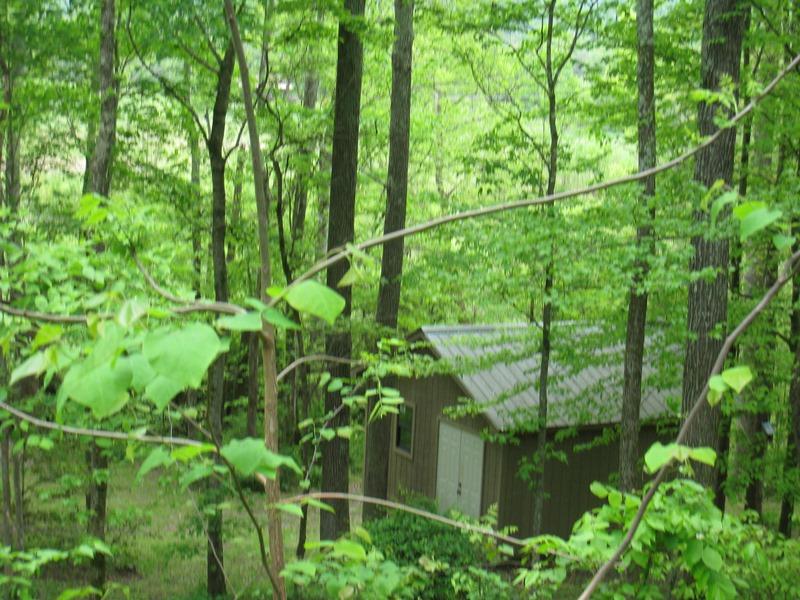 121 Pope Road Benton, TN 37307 - Photo 41 of 41 IMG_8652
