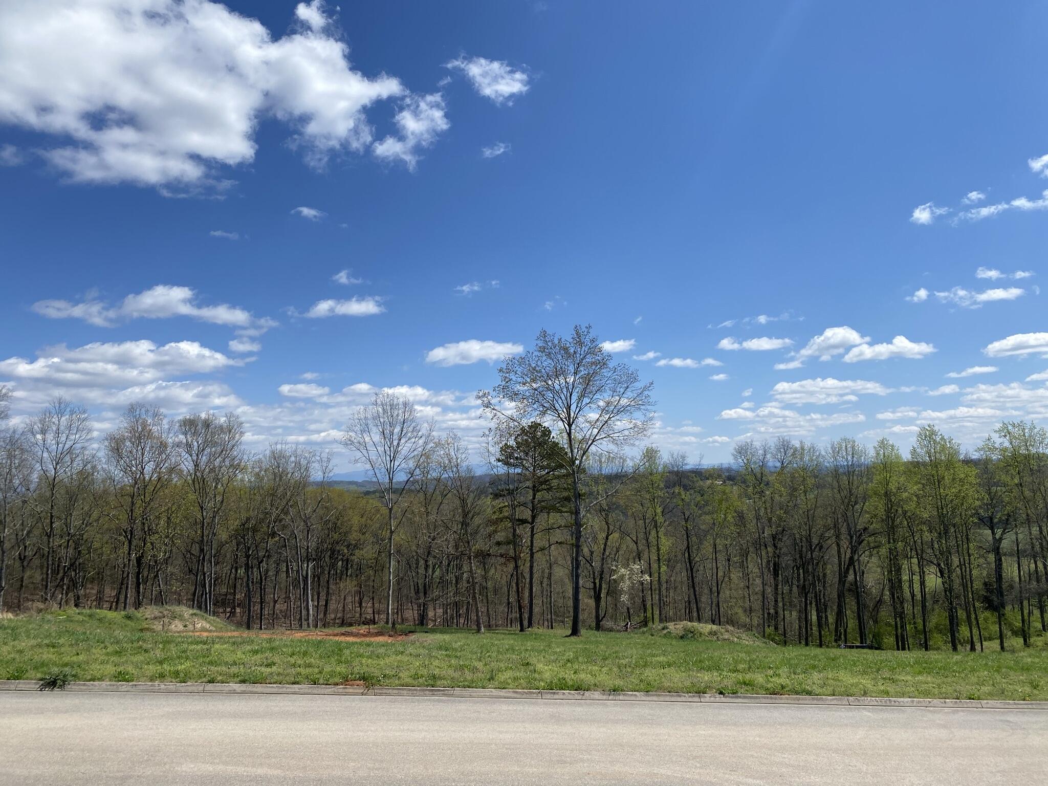 2193 James Ridge Road, Unit LOT 19 Loudon, TN 37774 - Photo 2 of 14 IMG_3330
