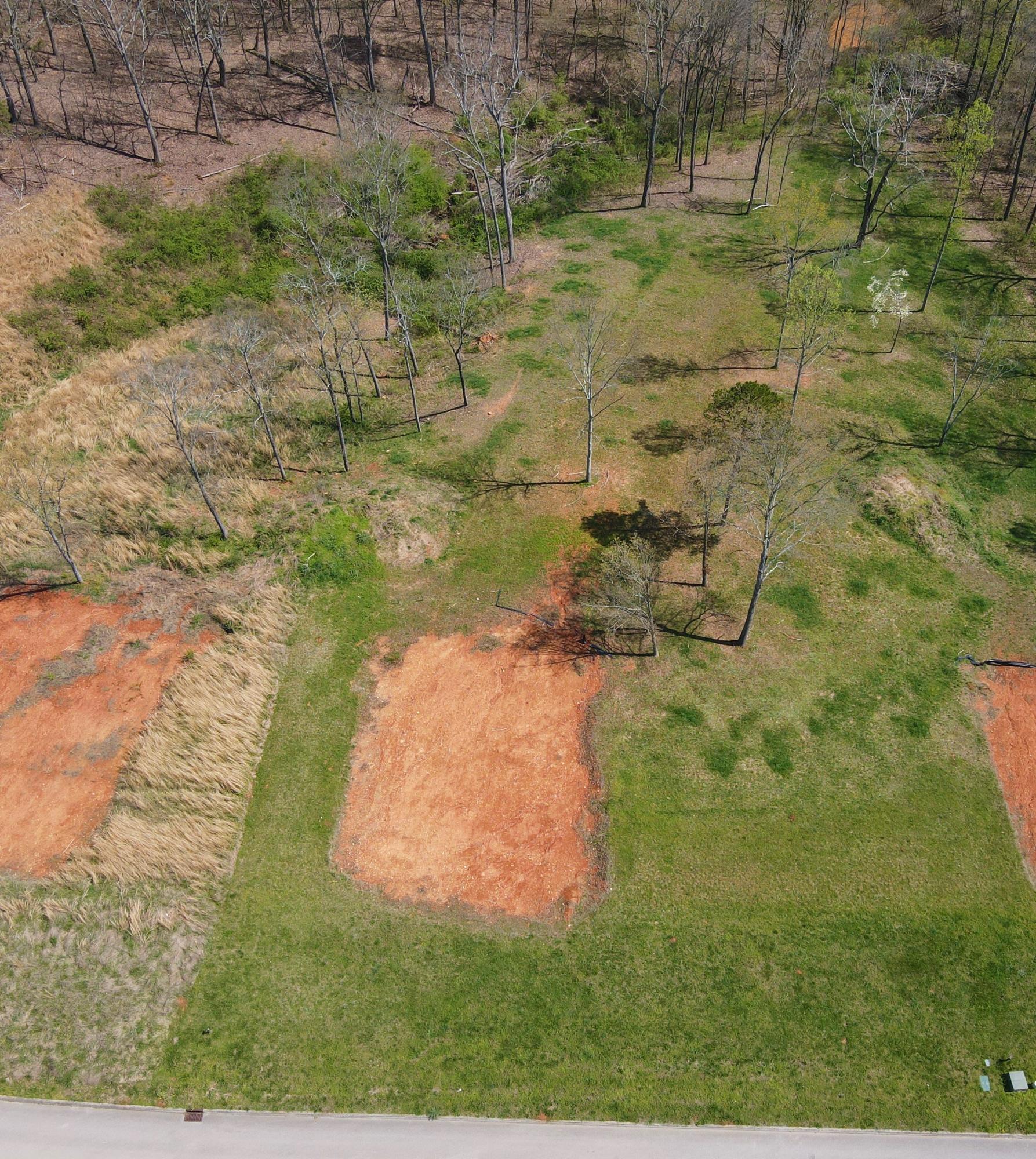 2193 James Ridge Road, Unit LOT 19 Loudon, TN 37774 - Photo 4 of 14 DJI_0002