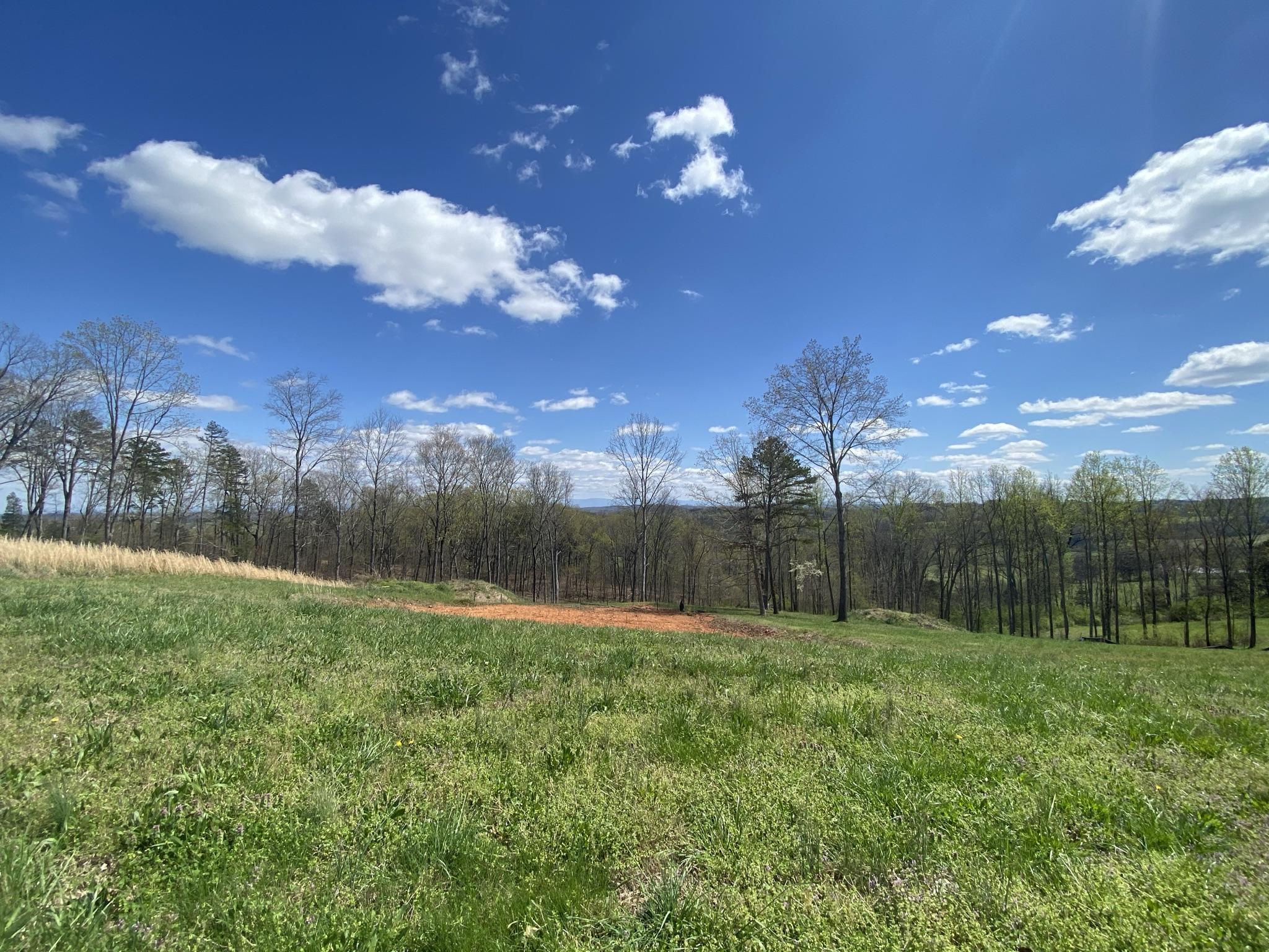 2193 James Ridge Road, Unit LOT 19 Loudon, TN 37774 - Photo 6 of 14 IMG_3334