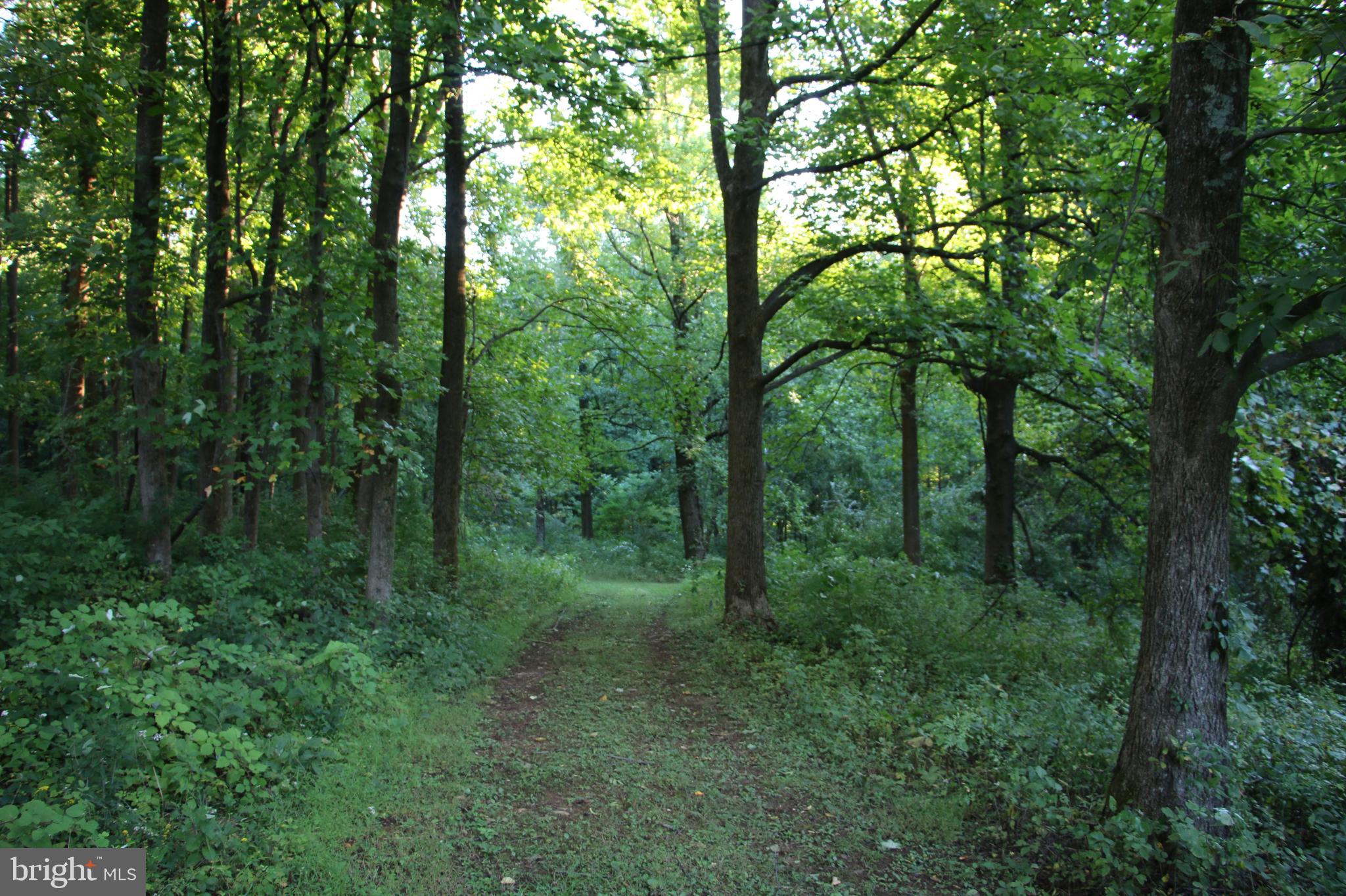 Headwaters Road Chester Gap, VA 22623 - Photo 8 of 13