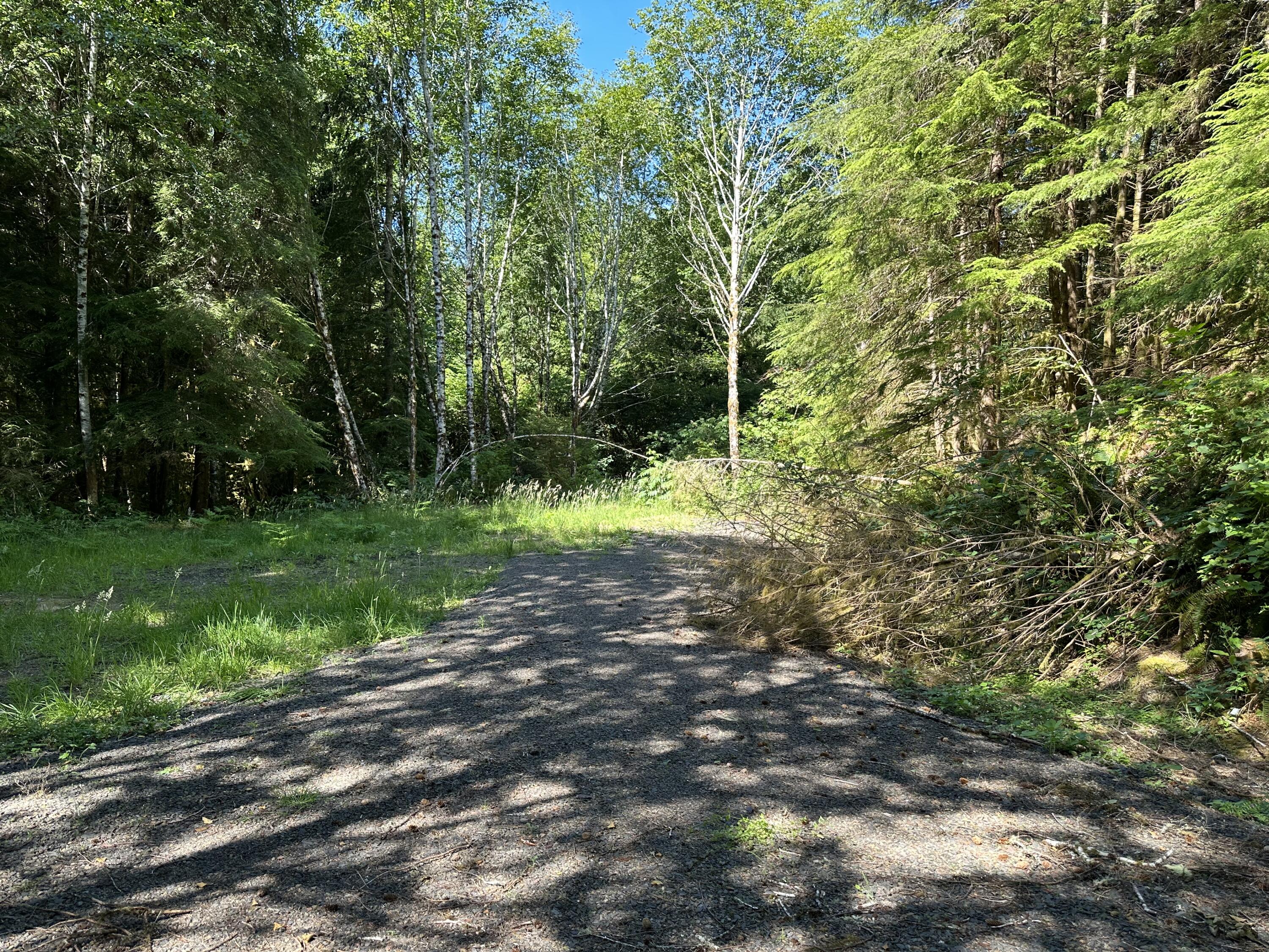 Lot#00300 Whiskey Creek Road Tillamook, OR 97141 - Photo 6 of 14 Potential Homesite