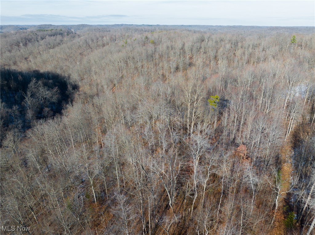9 County Road New Matamoras, OH 45767 - Photo 43 of 48 Aerial overview of property's location with a forest