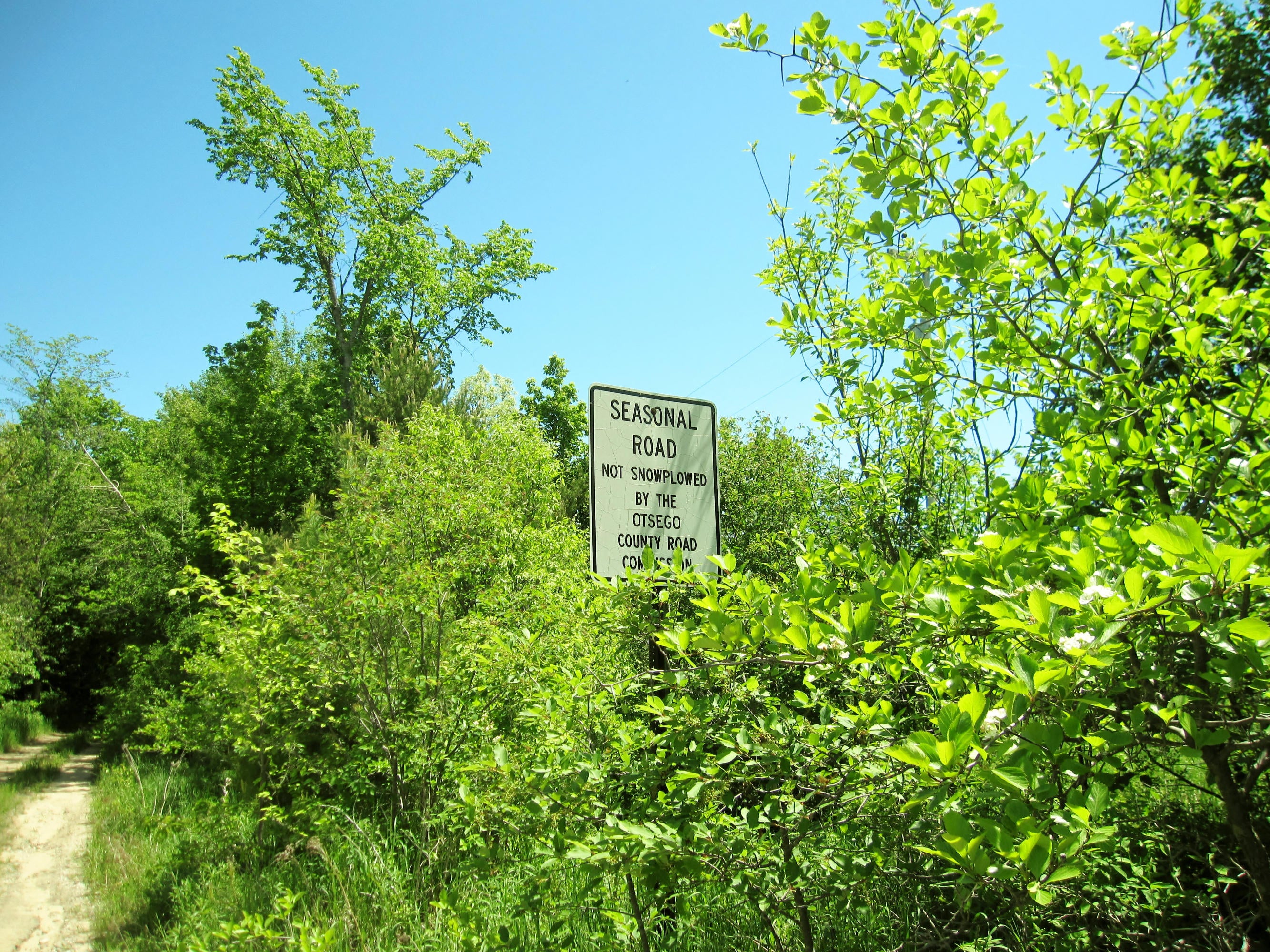 Kosiara Road Gaylord, MI 49735 - Photo 14 of 15 Gallery Image 14