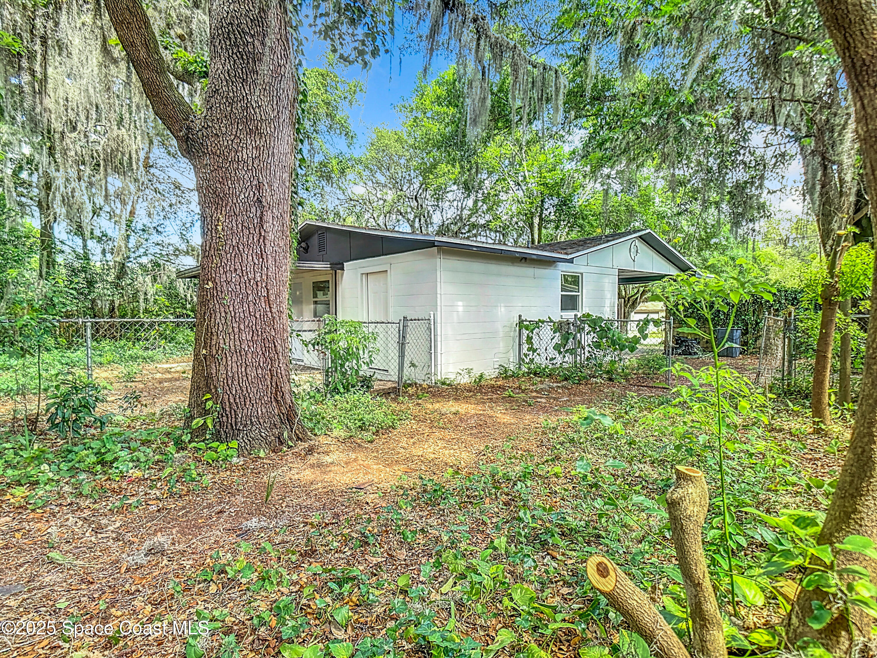 392 Arora Boulevard Orange Park, FL 32073 - Photo 34 of 45 a backyard of a house with plants and large tree