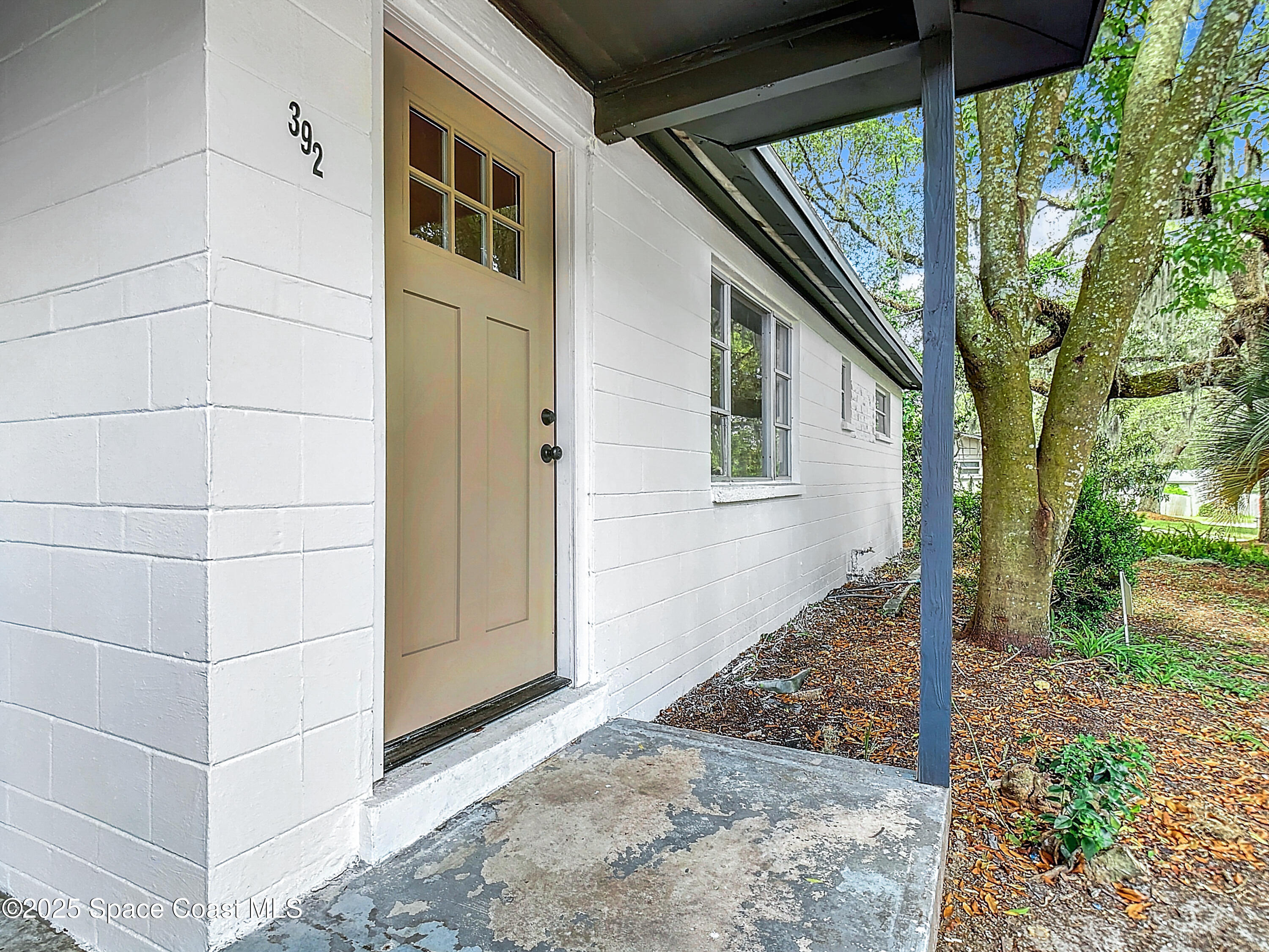 392 Arora Boulevard Orange Park, FL 32073 - Photo 5 of 45 a view of a house with backyard and trees