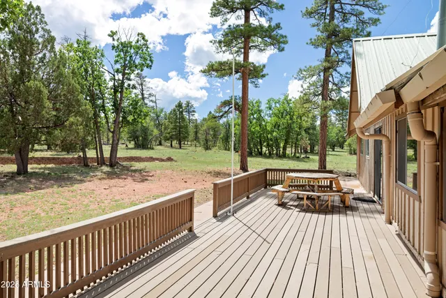a view of outdoor space with deck and trees