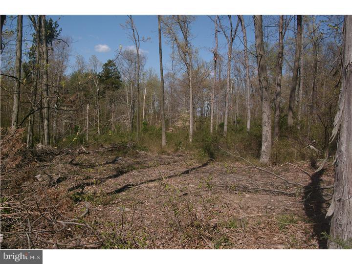 35 Houseman Road Perkiomenville, PA 18074 - Photo 3 of 8 Gallery Image 3