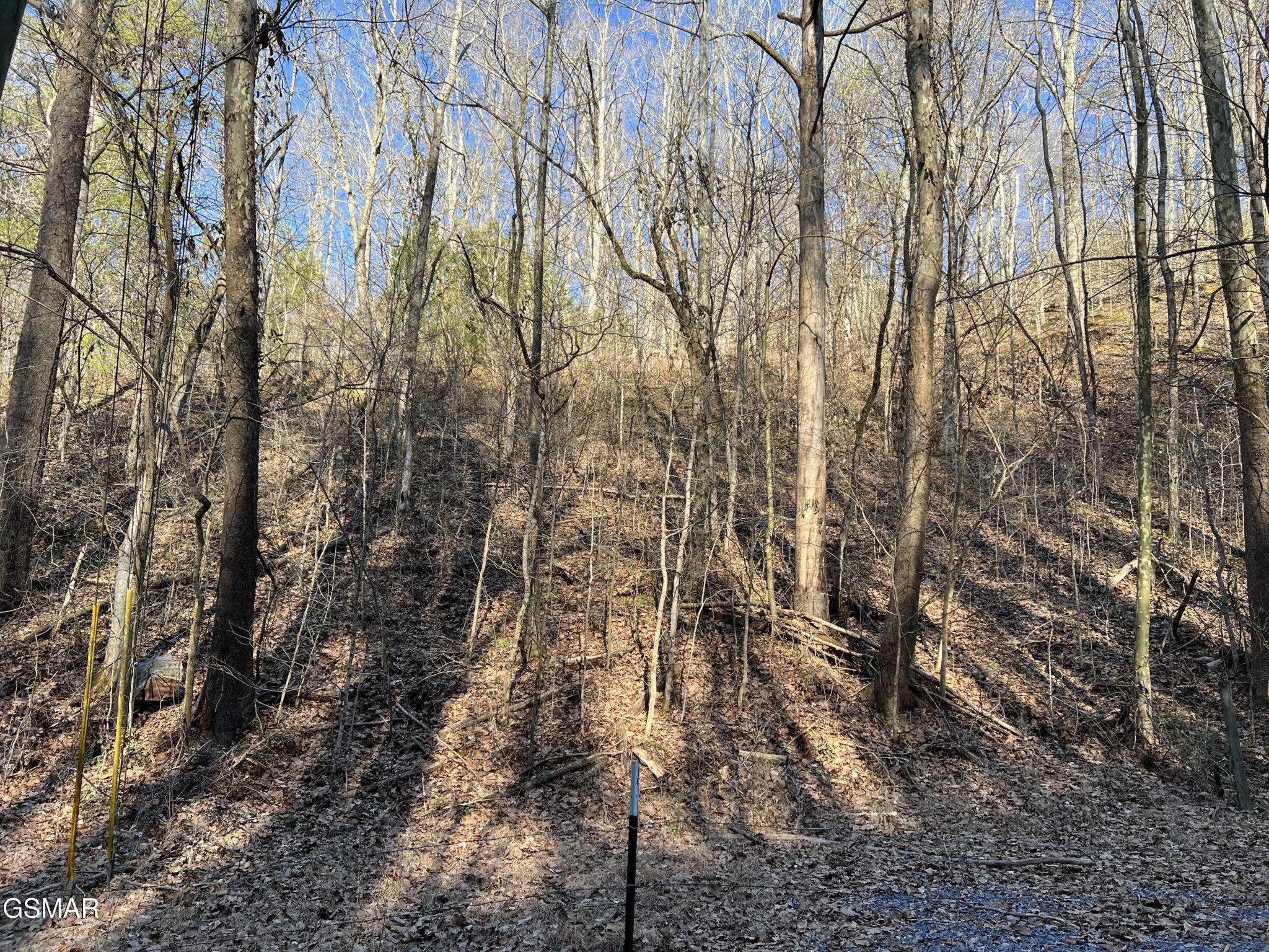 1 Indian Gap Road Sevierville, TN 37876 - Photo 4 of 9