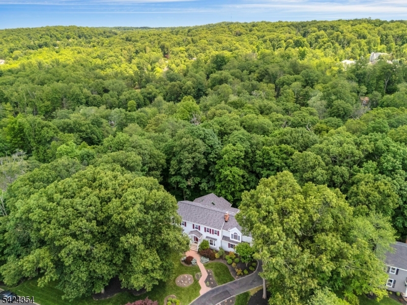 24 Stockade Road Warren, NJ 07059 - Photo 43 of 46