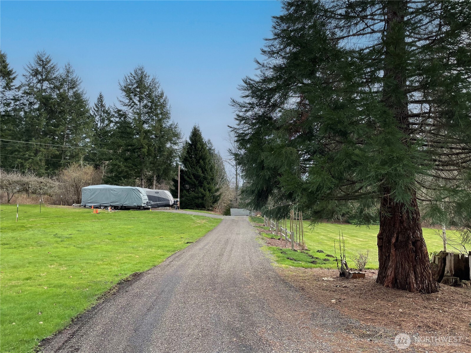 12514 Chain Lake Road Snohomish, WA 98290 - Photo 8 of 27 a front view of a house with a yard and a large tree