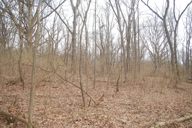 a view of outdoor space with trees