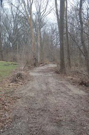 a view of outdoor space with trees