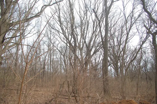 $174,900 | 35W247 Fox River Drive, St. Charles, IL 60174