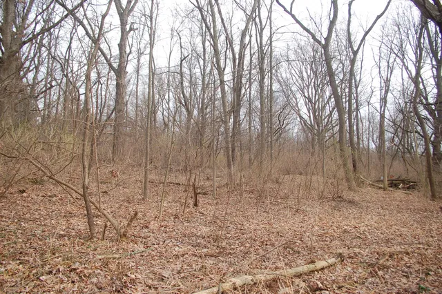 a backyard of a house with lots of trees