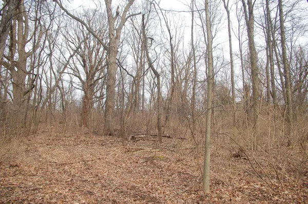 a view of backyard with trees