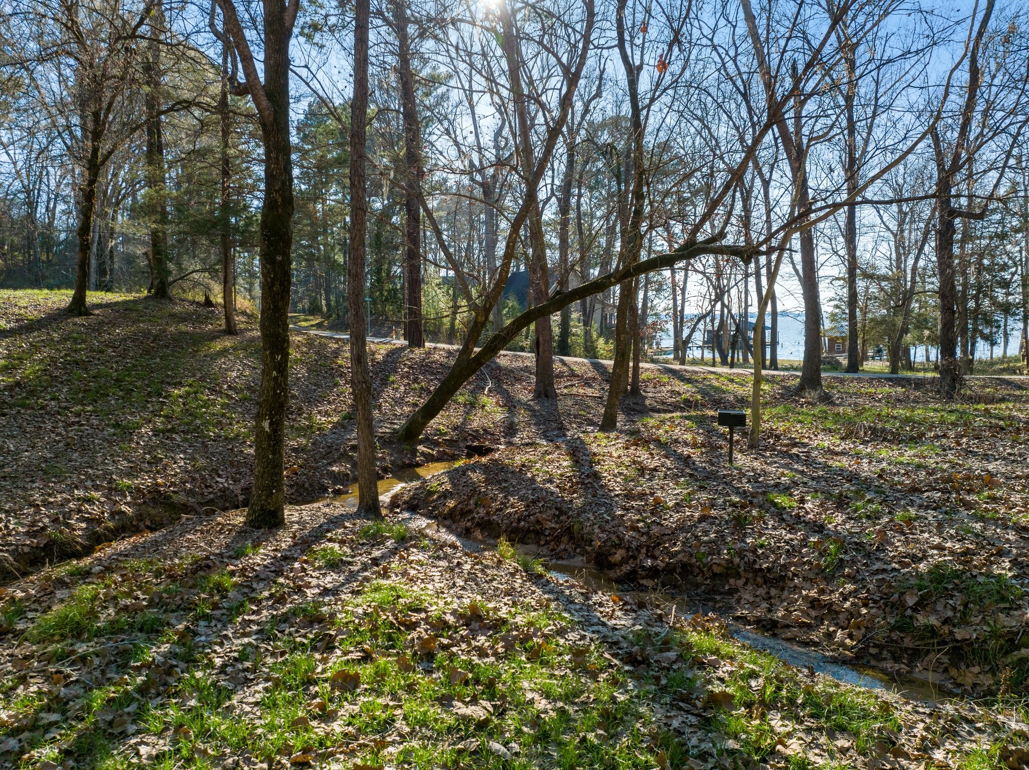 434445 Rob Livingston, TX 77351 - Photo 12 of 13 a backyard of a house with lots of green space