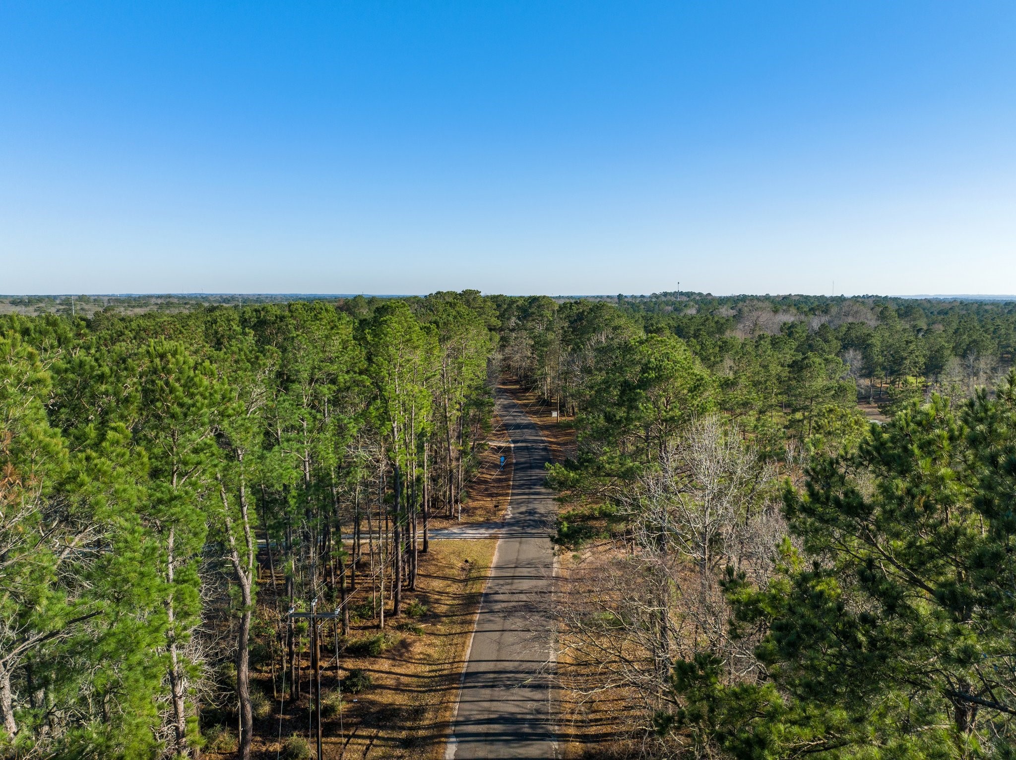 434445 Rob Livingston, TX 77351 - Photo 5 of 13 a view of a city