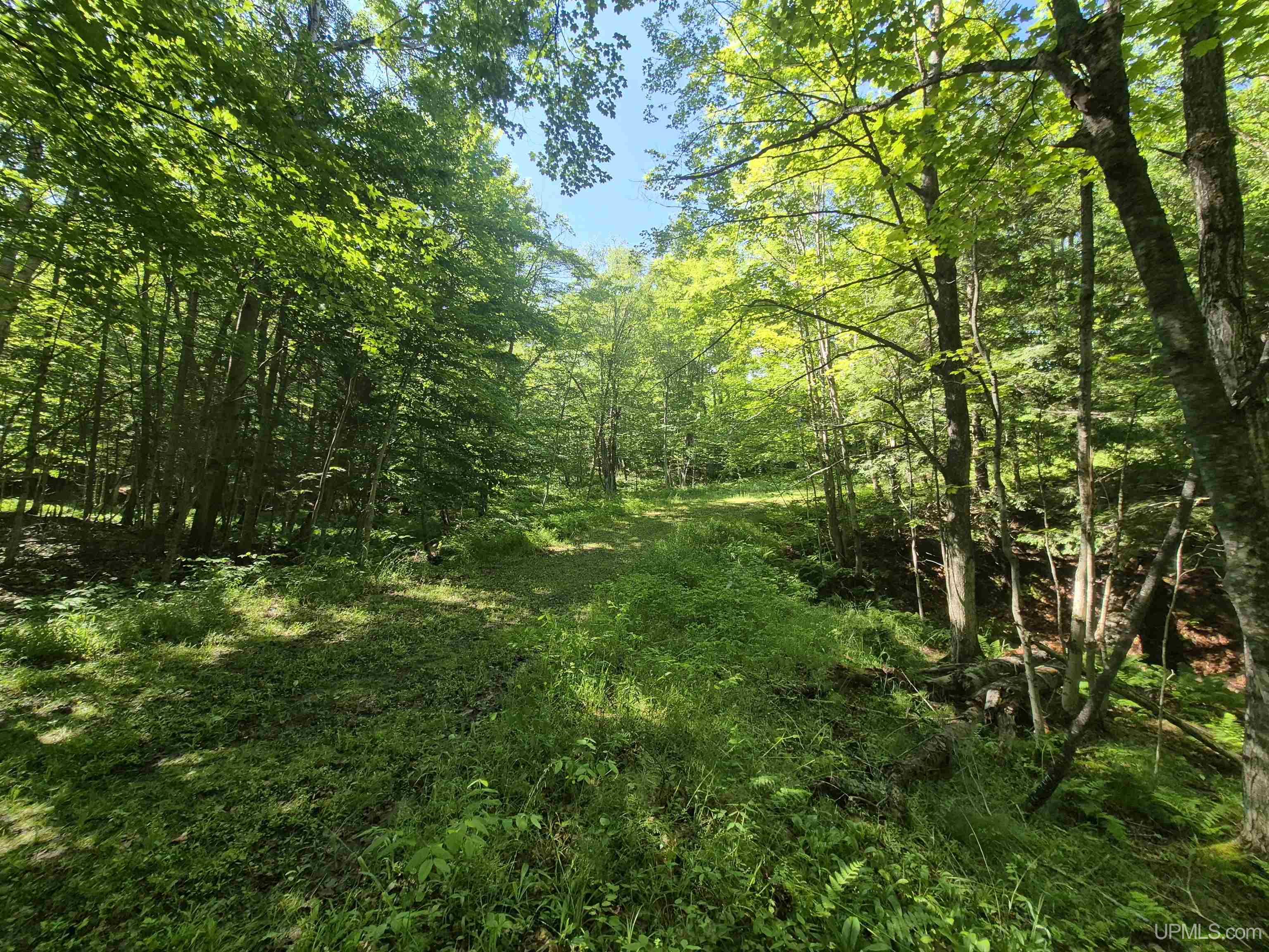 8-acres Nestor Road Munising, MI 49862 - Photo 30 of 43