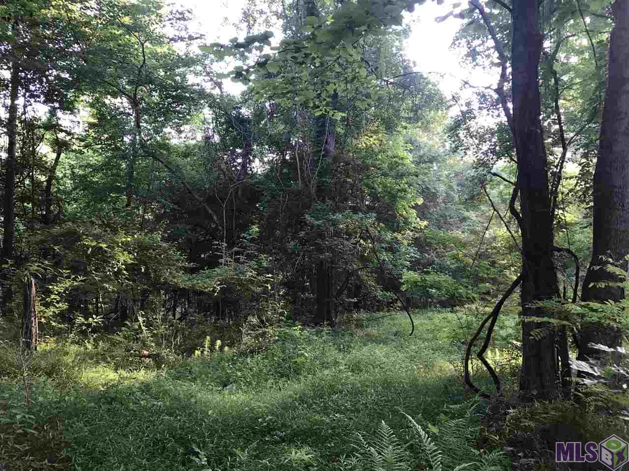 87 Robins Lake Road Natchez, MS 39120 - Photo 3 of 4 Gallery Image 3