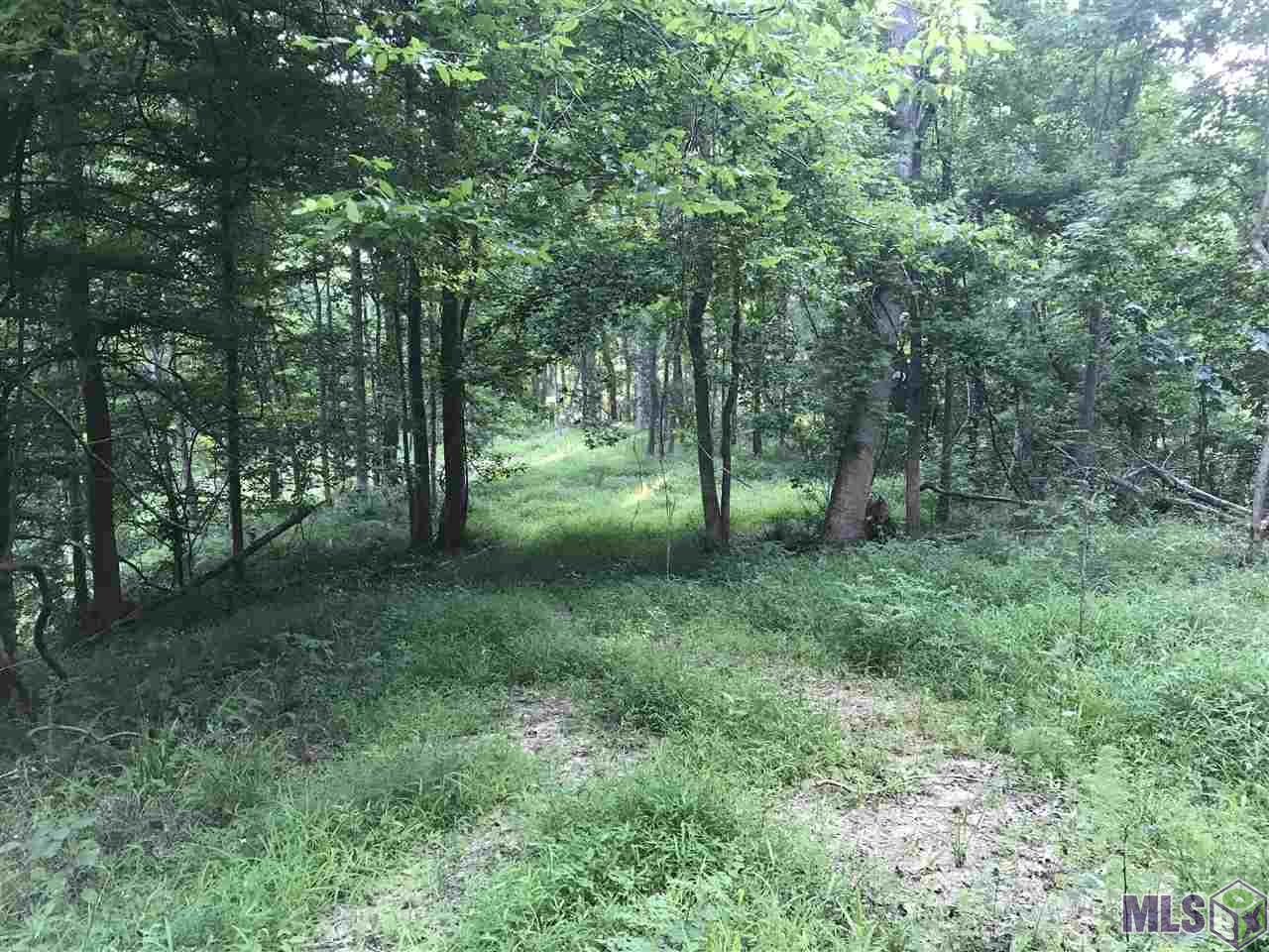 87 Robins Lake Road Natchez, MS 39120 - Photo 4 of 4 Gallery Image 4