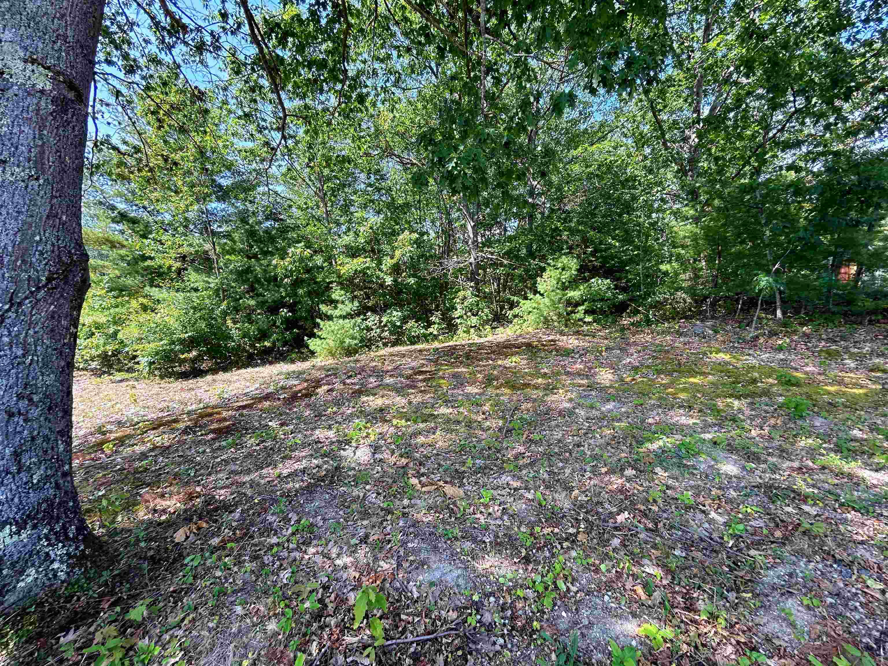149 Bear Hill Road Henniker, NH 03242 - Photo 23 of 26