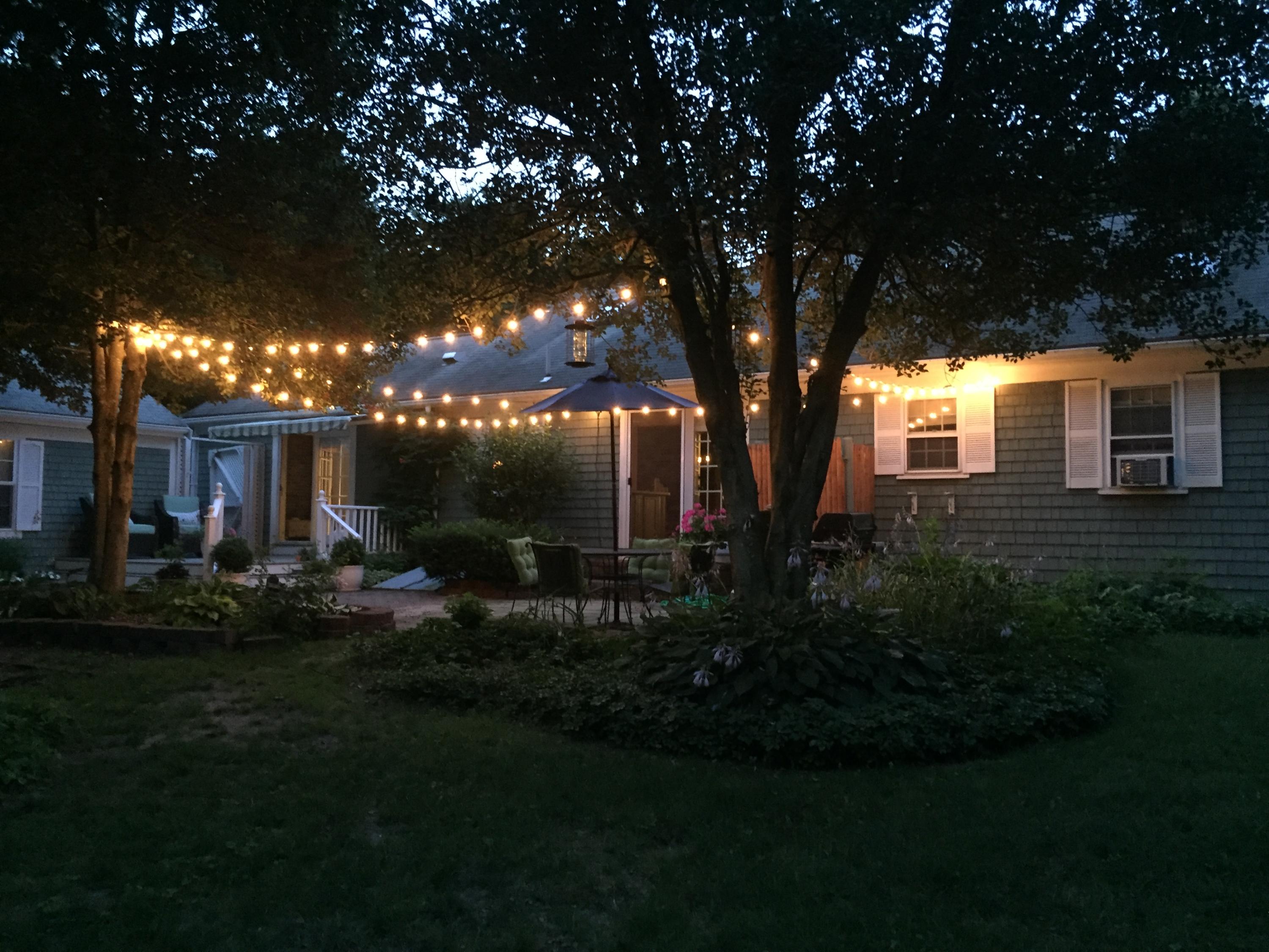 73 Knotty Pine Lane Centerville, MA 02632 - Photo 29 of 34 a view of house with yard and green space