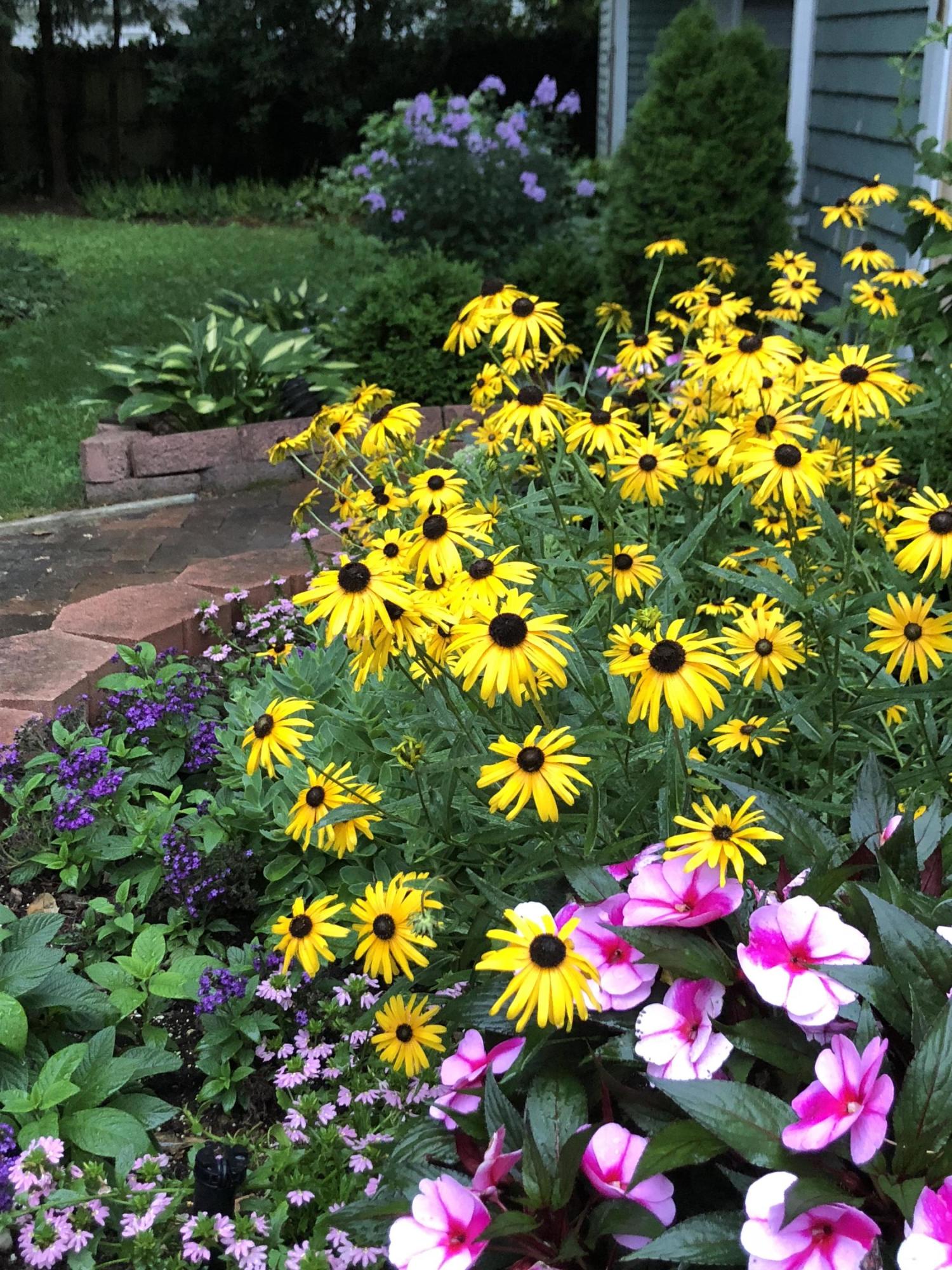 73 Knotty Pine Lane Centerville, MA 02632 - Photo 31 of 34 a view of a flower