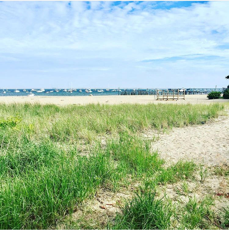 73 Knotty Pine Lane Centerville, MA 02632 - Photo 32 of 34 a view of an ocean and beach