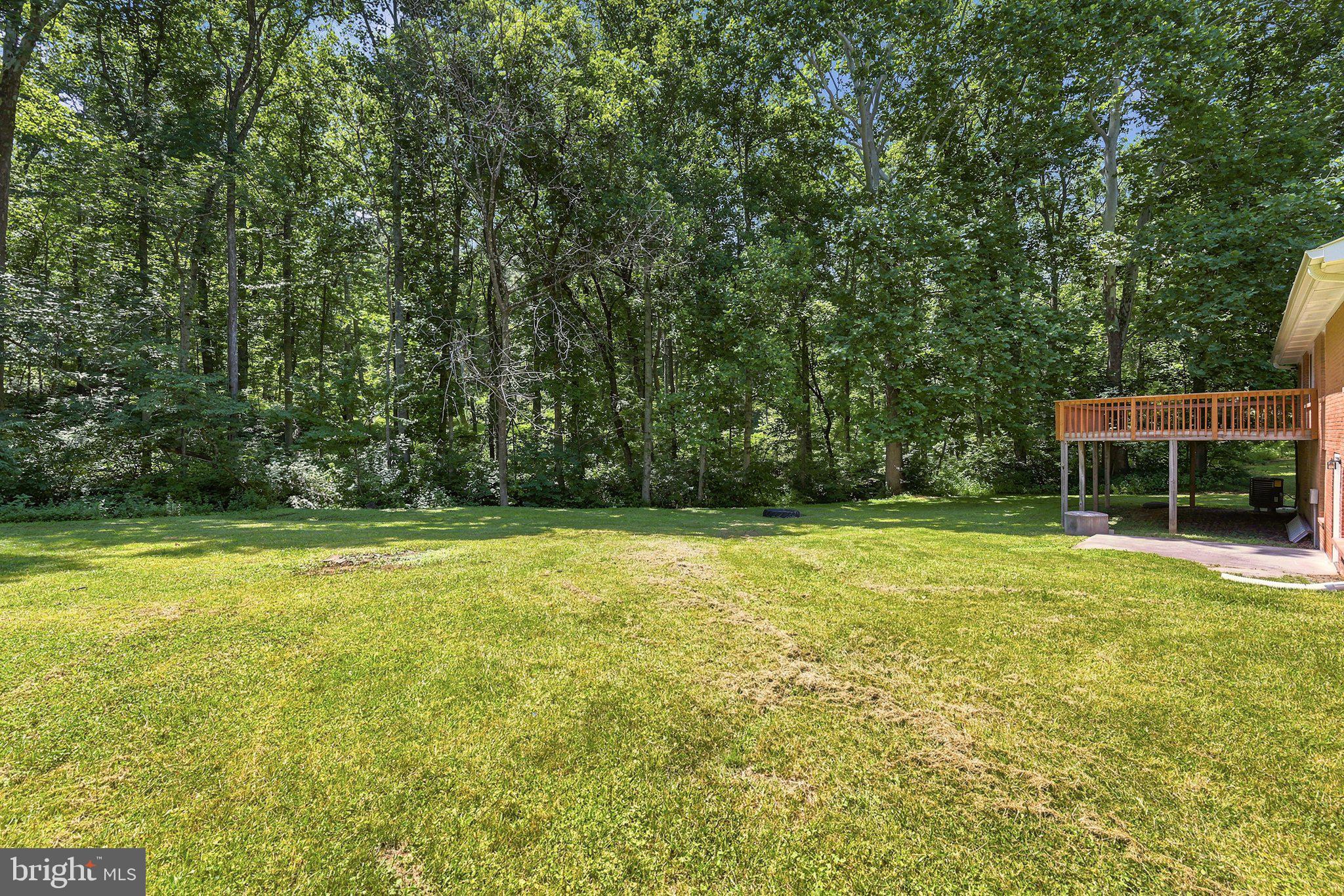 461 Norman Road High View, WV 26808 - Photo 59 of 73 Backyard is huge