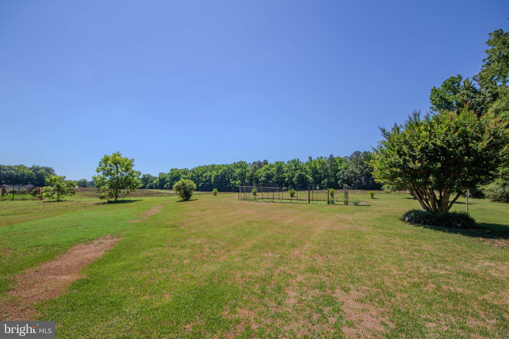 31749 Morris Leonard Road Parsonsburg, MD 21849 - Photo 32 of 40 Sprawling green oasis under blue skies.
