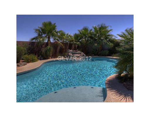 832 Bluff Ridge Avenue Henderson, NV 89012 - Photo 19 of 20 Swimming Pool/Hot Tub/Sauna.