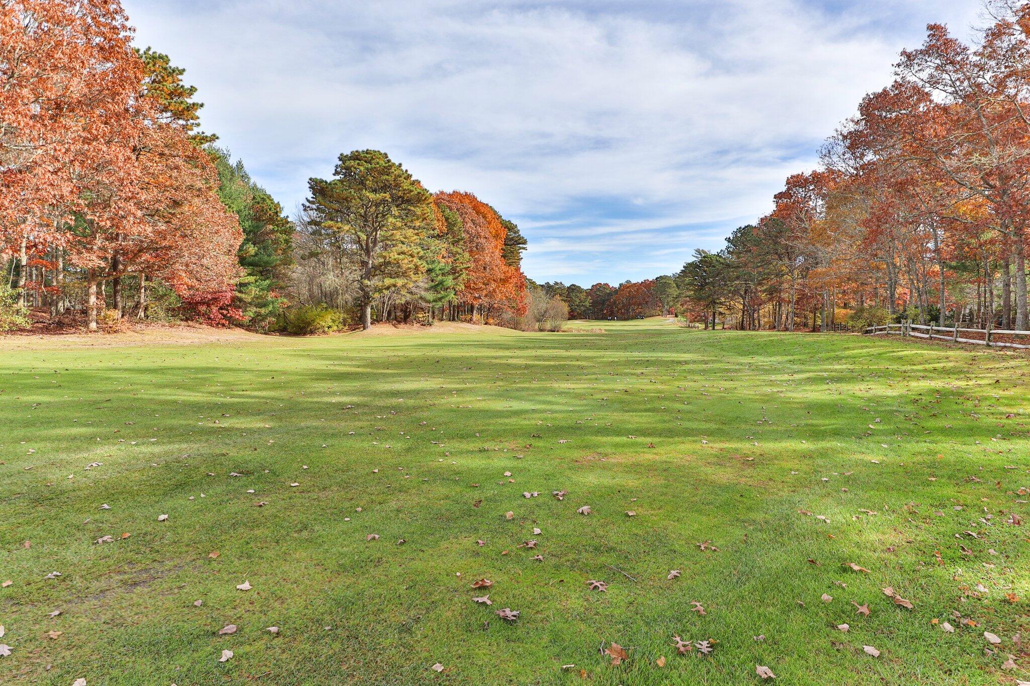 197 Old Barnstable Road Mashpee, MA 02649 - Photo 50 of 50 a big yard with lots of green space