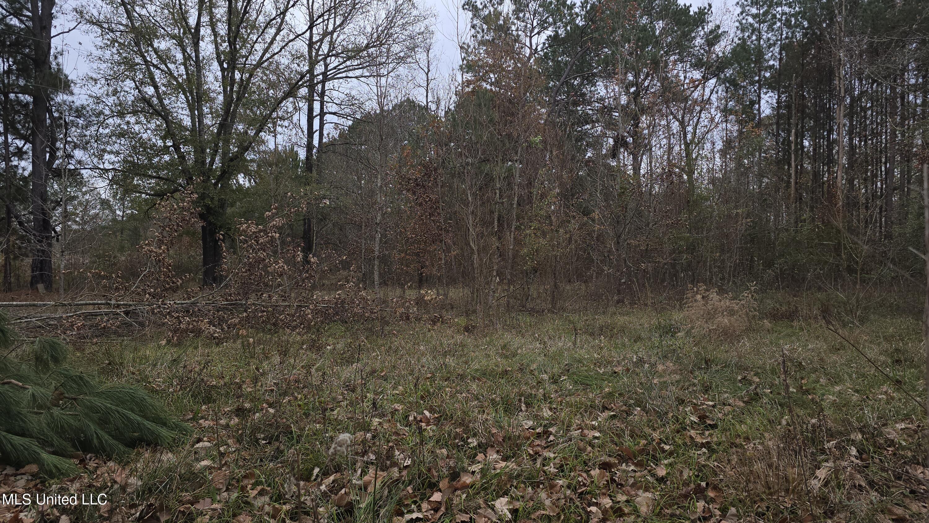 6427 Highway 33 Roxie Ms 39661 Roxie, MS 39661 - Photo 21 of 29 20251217_111342