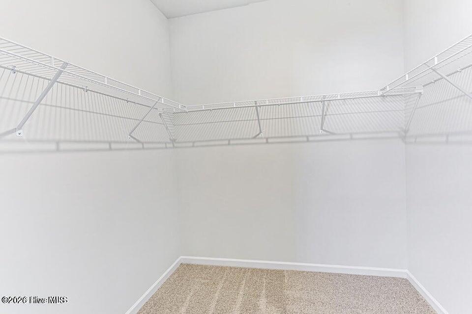 103 Rider Road Pikeville, NC 27863 - Photo 8 of 10 Gallery Image 8