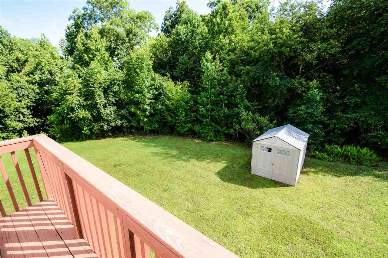 6134 Ricker Road Raleigh, NC 27610 - Photo 3 of 30 Spacious Yard w/Shed