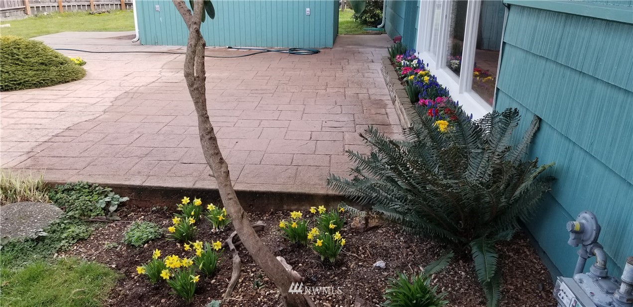 853 Daley Street Edmonds, WA 98020 - Photo 10 of 17 Gallery Image 10