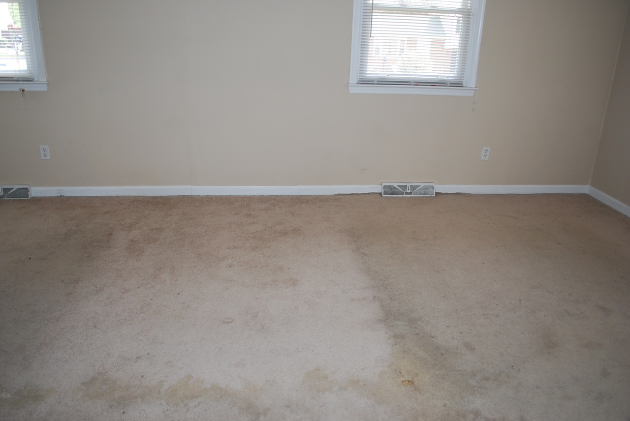 5321 Palm Valley Road Roanoke, VA 24019 - Photo 11 of 43 Bedroom 1