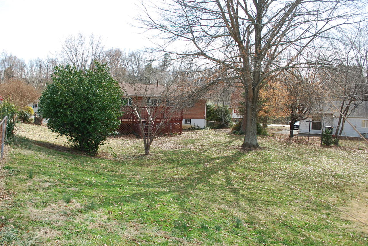 5321 Palm Valley Road Roanoke, VA 24019 - Photo 41 of 43 Backyard
