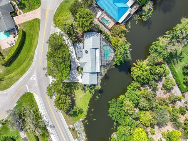 a view of a garden with plants