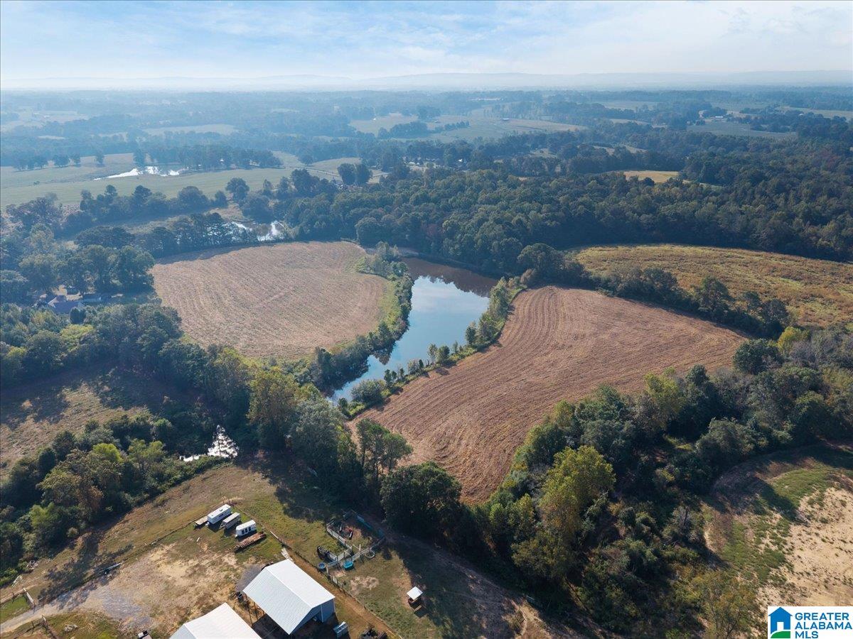 21 County Road, Unit 2 00 Horton, AL 35980 - Photo 15 of 17