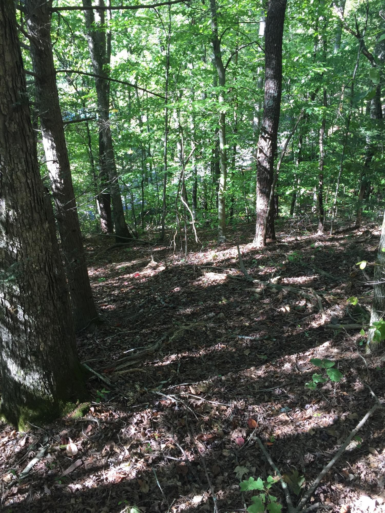 0 Forge Hideaway Road Pigeon Forge, TN 37863 - Photo 2 of 5