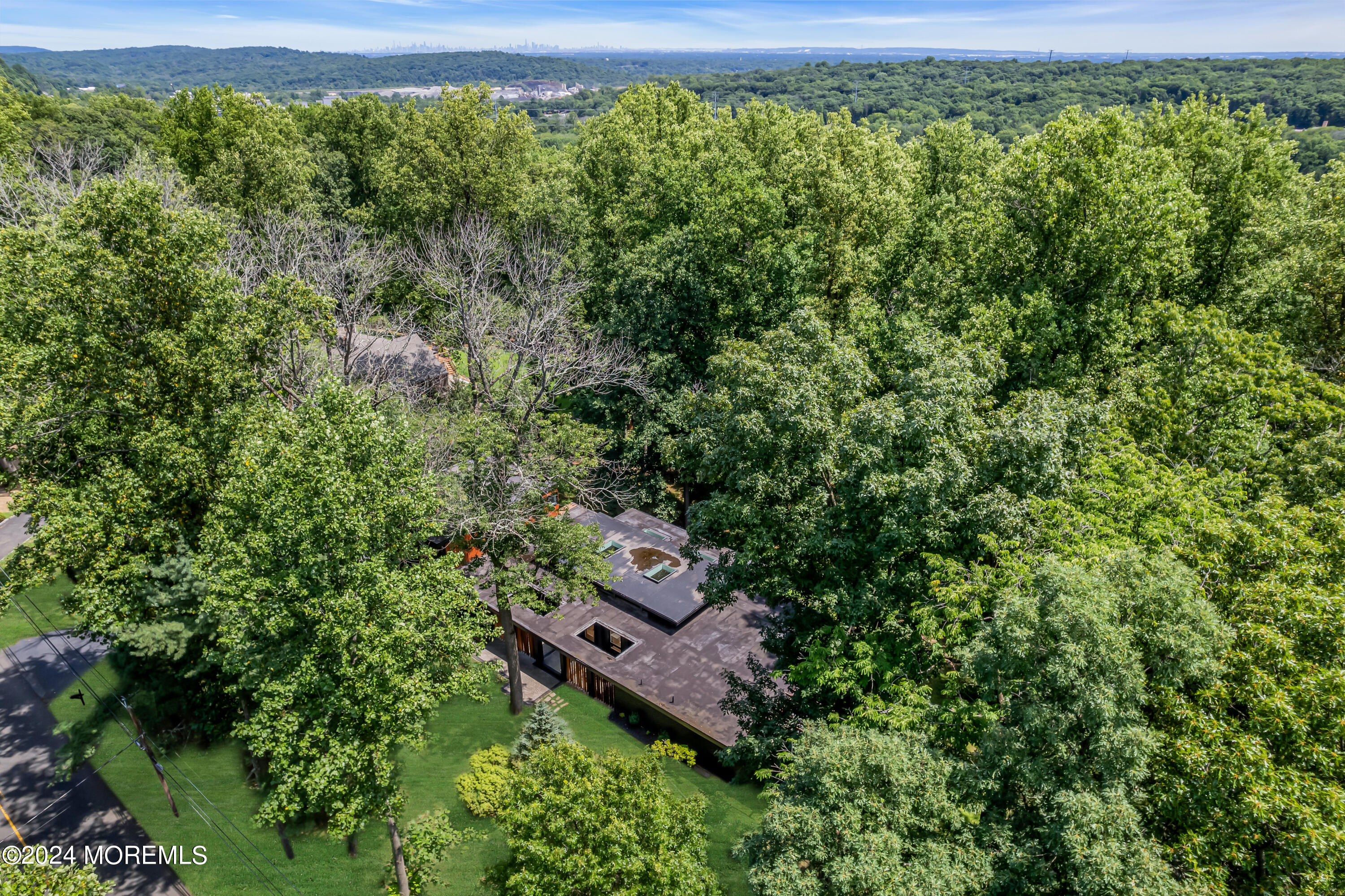 524 Ridge Road Watchung, NJ 07069 - Photo 95 of 100 096_dji_0319-1_567