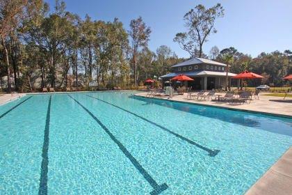 2014 Elvington Road Johns Island, SC 29455 - Photo 5 of 10 Pool