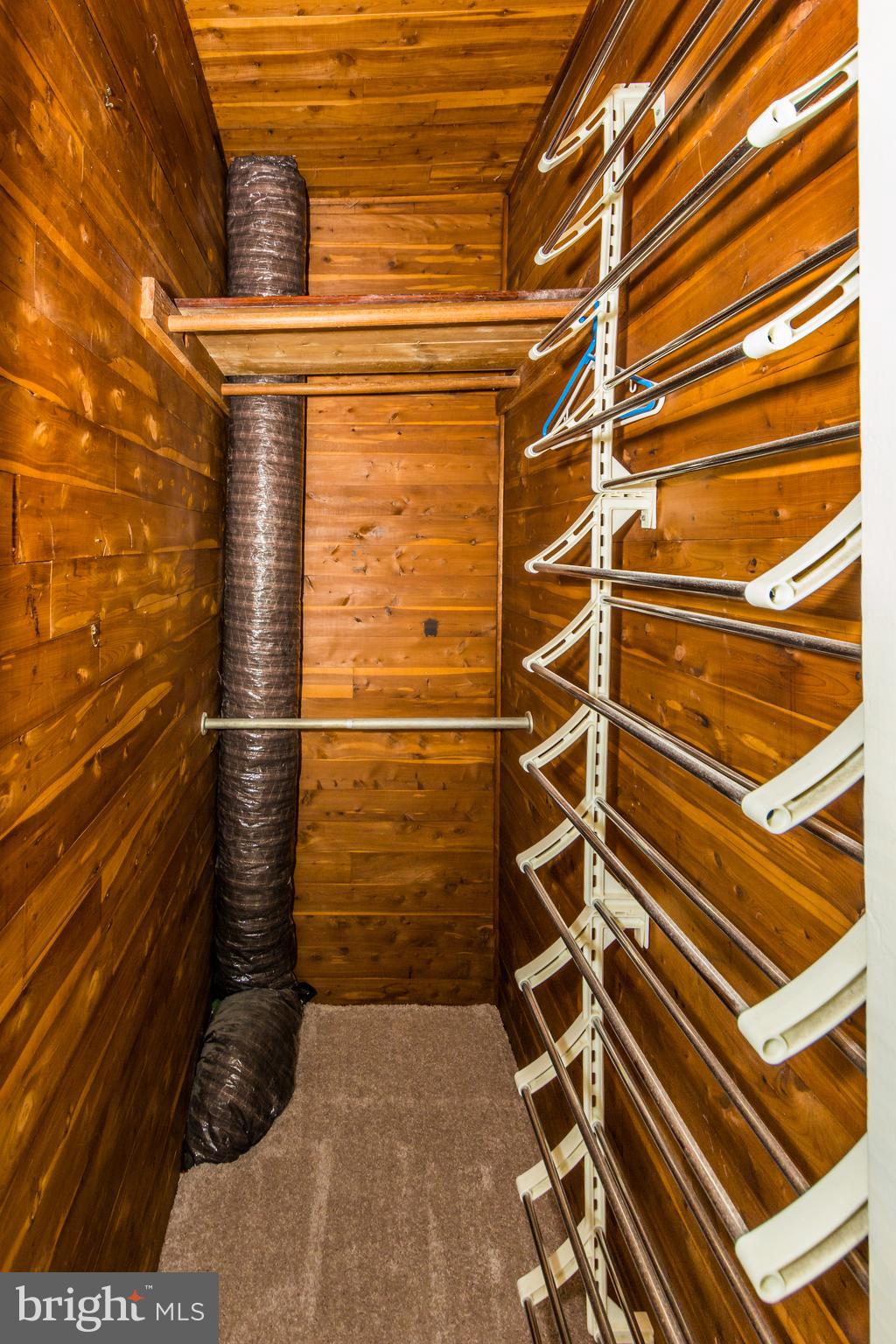 736 Warwick Road Baltimore, MD 21229 - Photo 43 of 54 Master cedar closet with shoe shelf