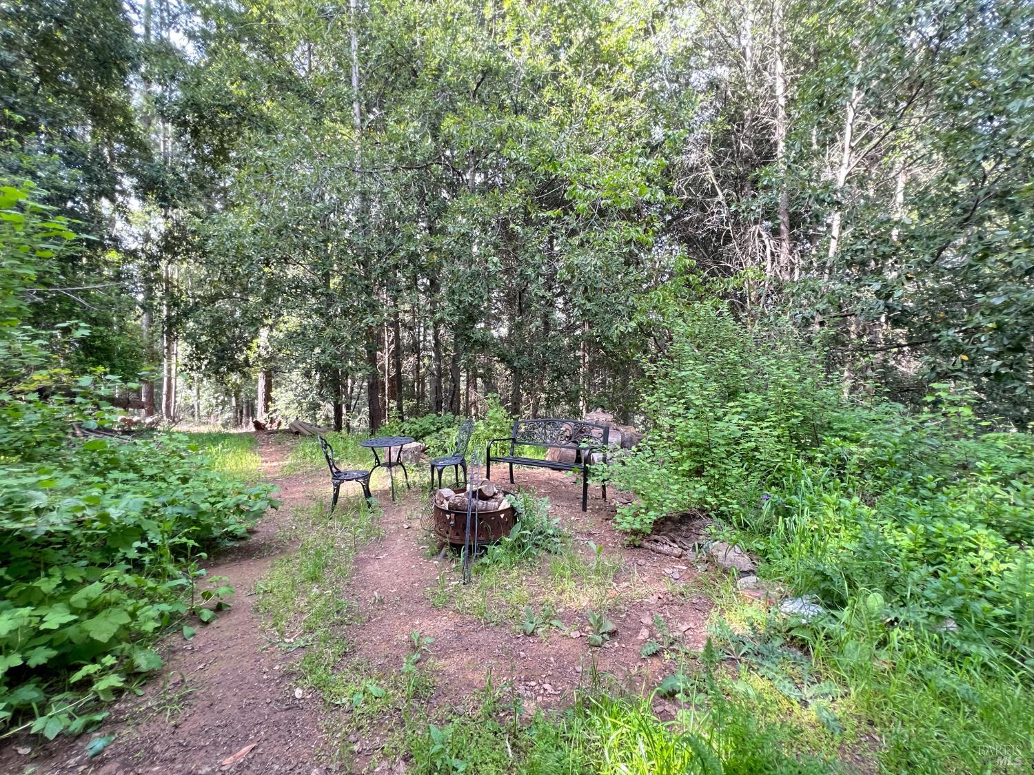 4000 Ridgewood Road Willits, CA 95490 - Photo 32 of 42 a view of a park with large trees