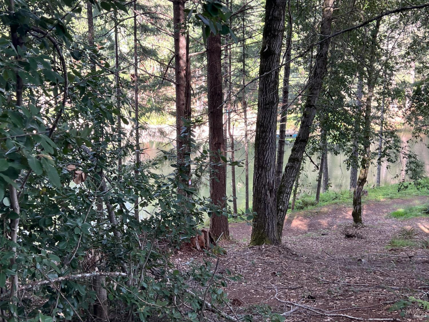 4000 Ridgewood Road Willits, CA 95490 - Photo 35 of 42 a view of outdoor space and trees