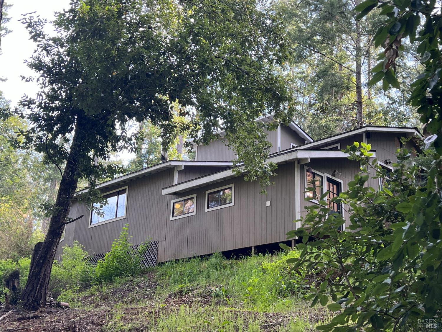 4000 Ridgewood Road Willits, CA 95490 - Photo 36 of 42 a view of a backyard with plants and large trees