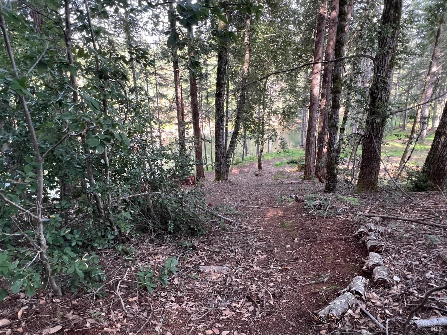 4000 Ridgewood Road Willits, CA 95490 - Photo 37 of 42 a view of a forest with trees in the background